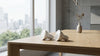 Dimmable GU10 LED Bulb – Energy-Saving Performance